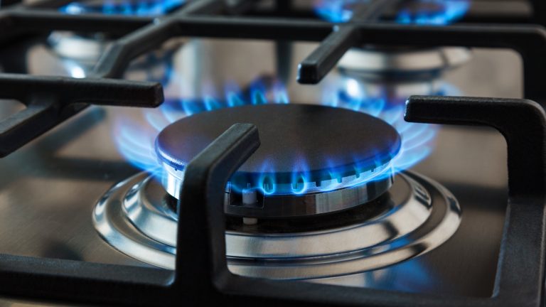 Central Heating Systems / Gas Maintenance